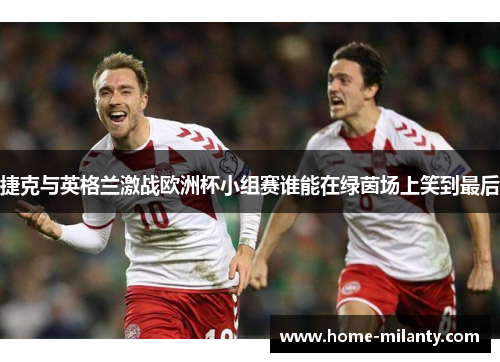 捷克与英格兰激战欧洲杯小组赛谁能在绿茵场上笑到最后
